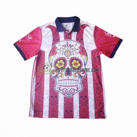 Trøje Deportivo Guadalajara Day of the Dead Mænd Udebane Fodboldsæt 2023-2024 Kortærmet
