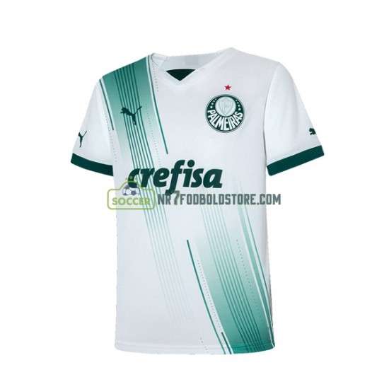 Palmeiras Trøje Mænd Udebane Fodboldsæt 2023-2024 Kortærmet