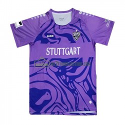 VfB Stuttgart Trøje Special Målmand Mænd Hjemmebane Fodboldsæt 2023-2024 Kortærmet