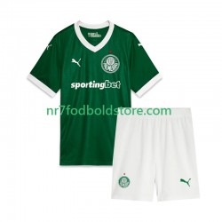 Palmeiras Trøje Børn Hjemmebane Fodboldsæt 2025 Kortærmet