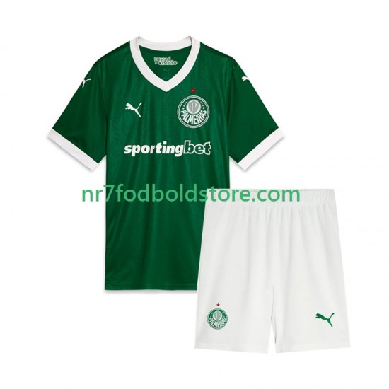 Palmeiras Trøje Børn Hjemmebane Fodboldsæt 2025 Kortærmet